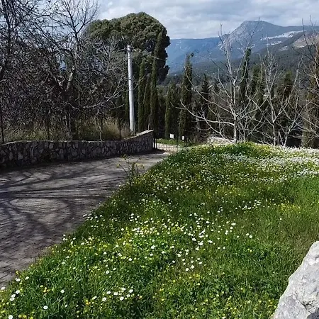 Summer House In Akyaka Mugla ホテル